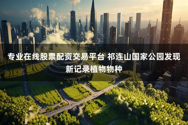 专业在线股票配资交易平台 祁连山国家公园发现新记录植物物种